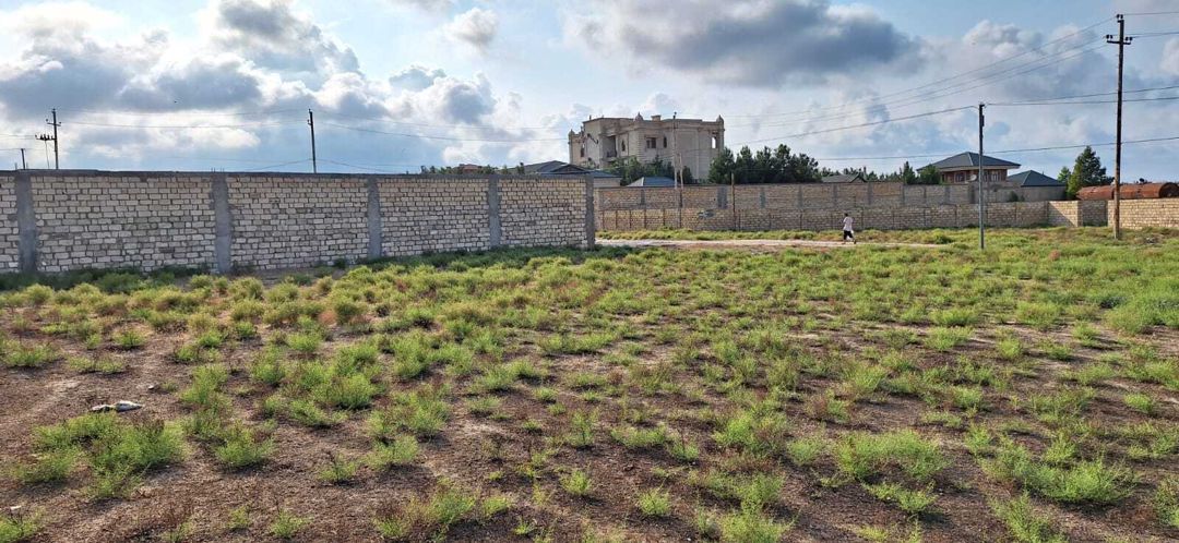 Satılır torpaq 12 sot — Torpaq, Bakı (3)