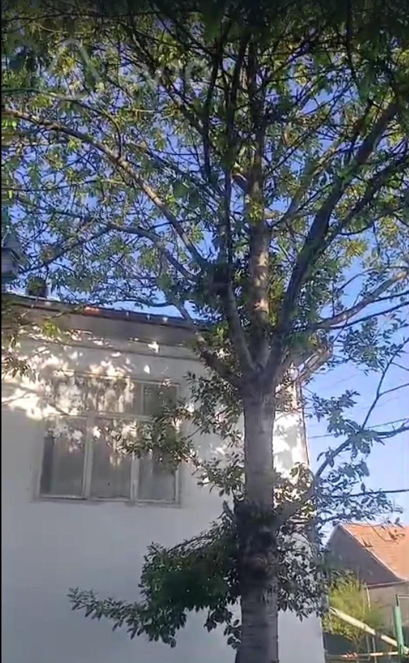 5 otaqlı həyət evi, 140 m², İsmayıllı rayonu İvanovka kəndi — Ev, villa, İsmayıllı (4)