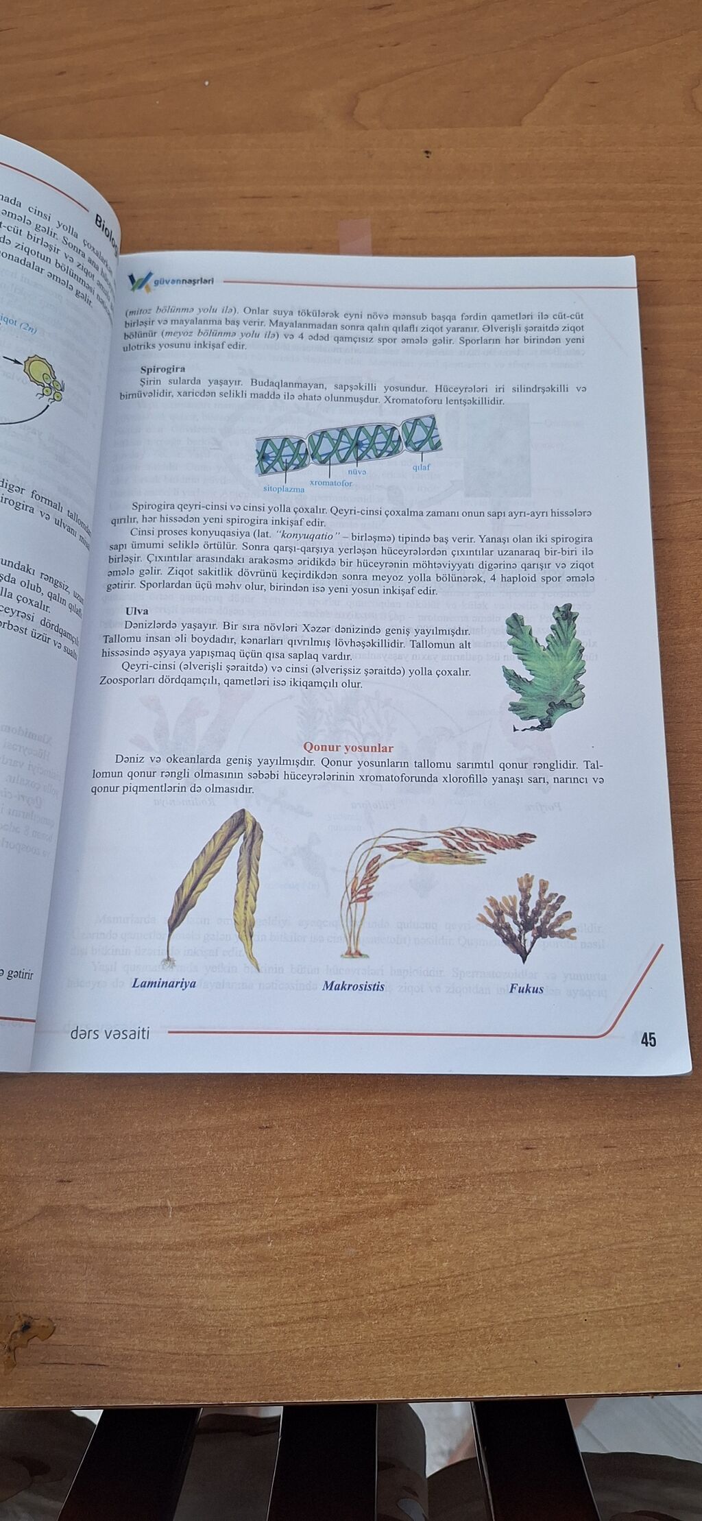 Məhsul: “Biologiya – Abituriyentlər üçün vəsait” Müəllif: Elnur — Kitablar, Bakı (2)