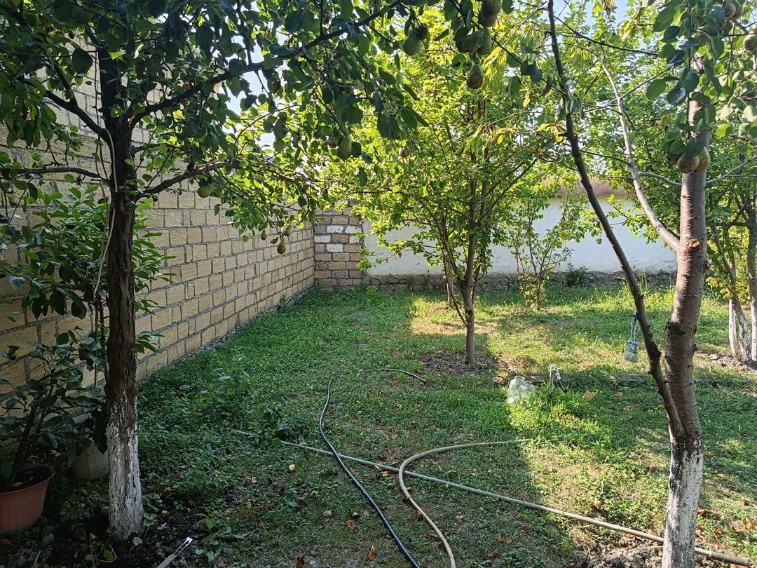 4 sot torpaq sahəsi, Qəbələ r — Torpaq, Qəbələ (2)