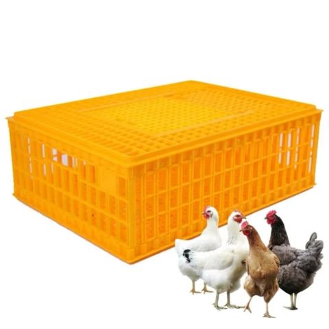 Qəfəs 4541, metal, 25x56x94 sm — Bakı