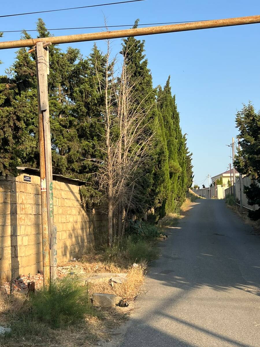 Satılır torpaq 30 sot — Torpaq, Bakı (8)