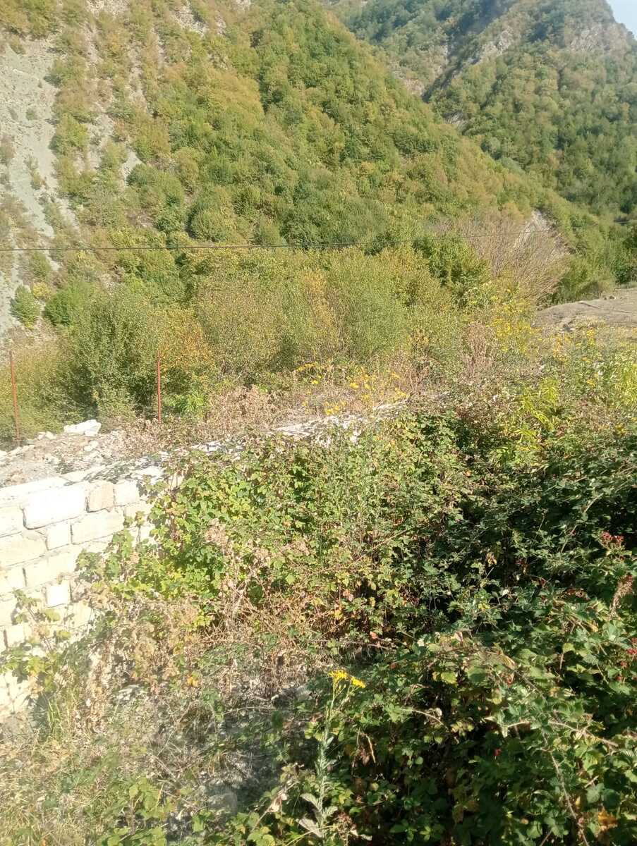 Satılır torpaq 12 sot — Torpaq, İsmayıllı (5)