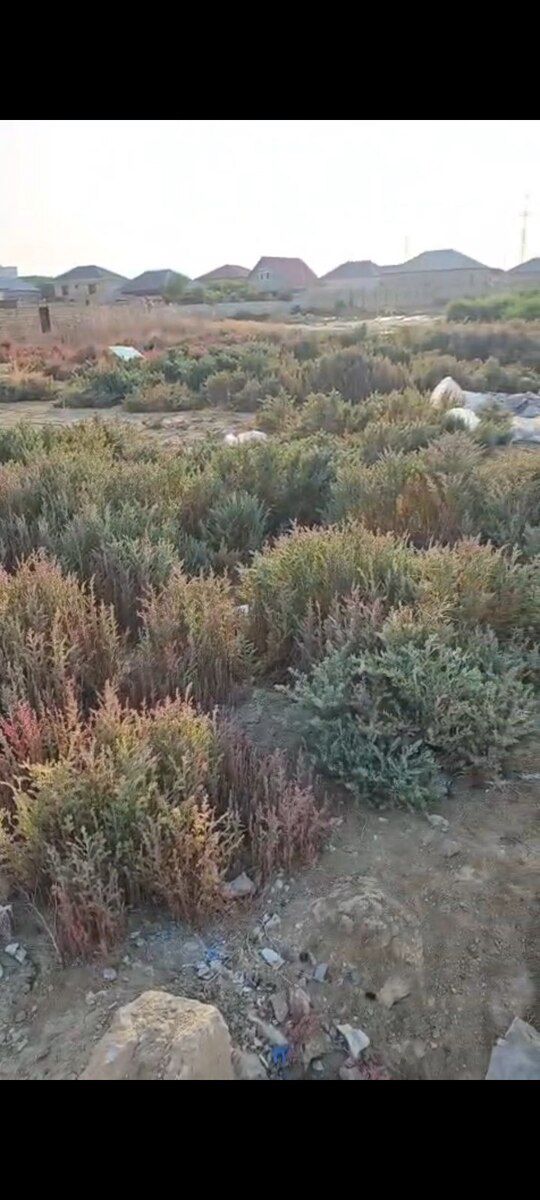 6 sot torpaq sahəsi, Sumqayıt ş — Torpaq, Sumqayıt (2)