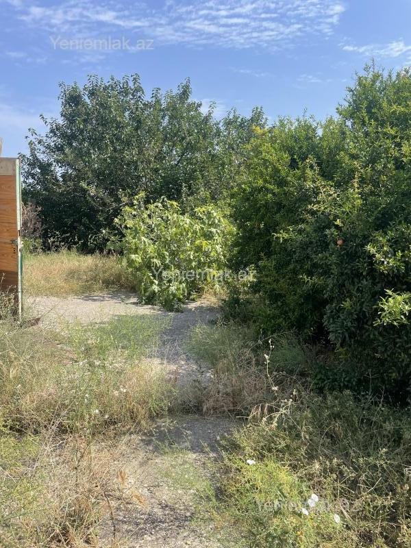 Satılır Torpaq sahəsi, 19 sot, Novxanı — Torpaq, Abşeron (10)
