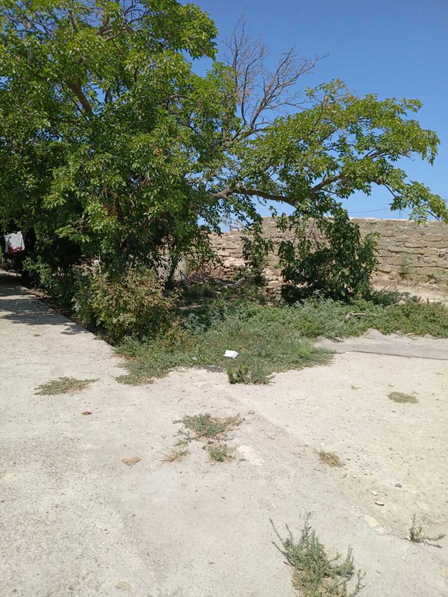 Satılır torpaq 6 sot — Torpaq, Bakı (3)