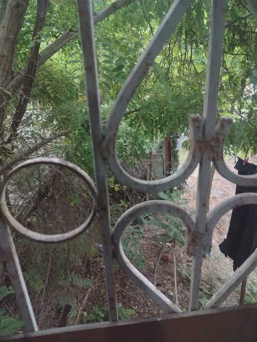 Satılır 2 otaqlı köhnə tikili 50 m² — Mənzil, Bakı (3)