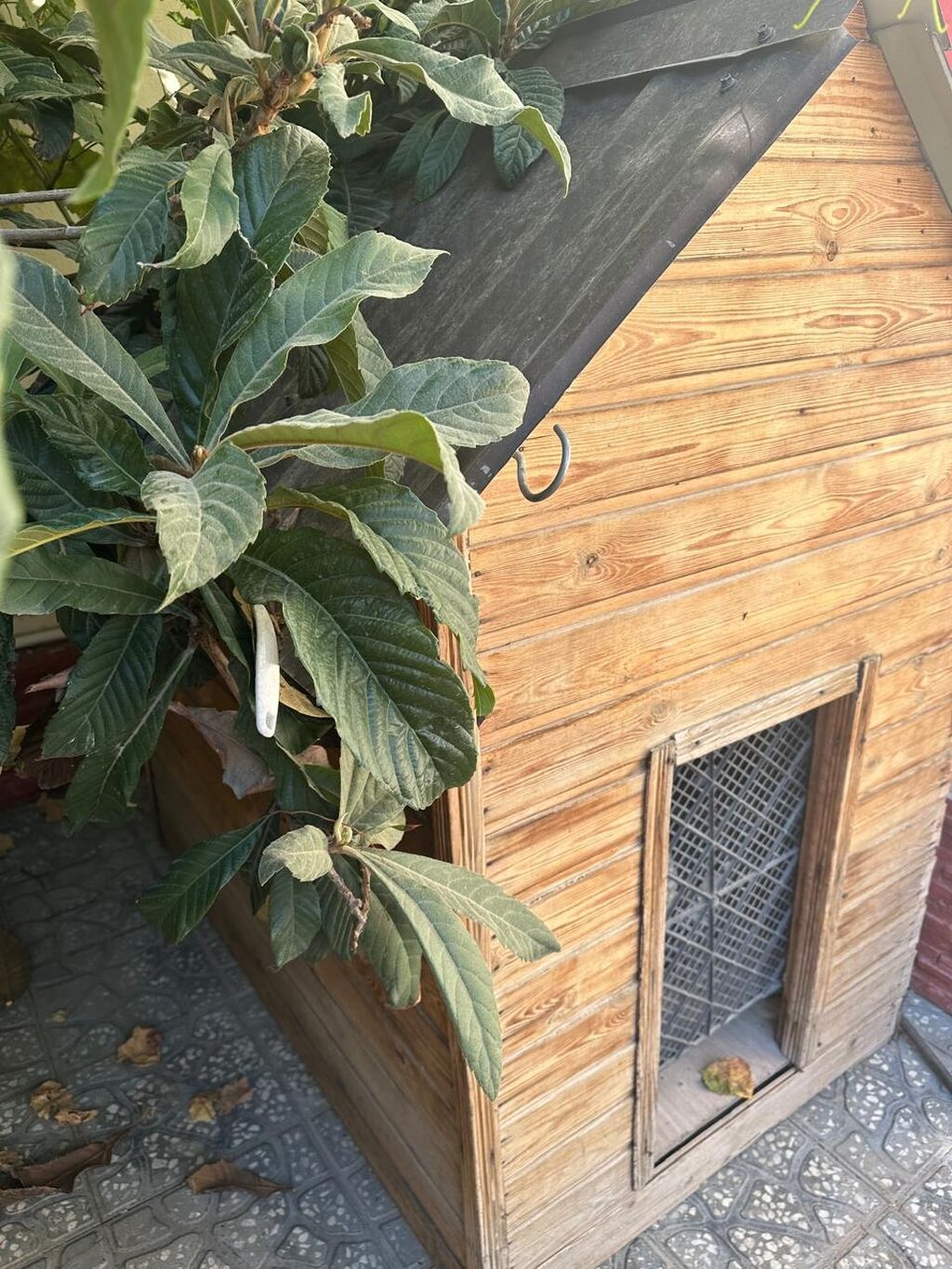 Ağac materialından hazırlanmış geniş it evi - Materiaal: təbii taxta — Kunalar, Xırdalan (2)