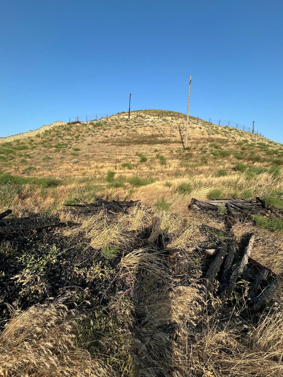 Satılır torpaq 30 sot — Torpaq, Bakı (3)