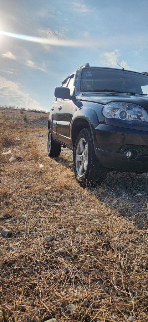 Chevrolet Niva, 1.7 L, 2013 il, 210 000 km 99-GJ-829 — Avtomobillər, Şəki (2)