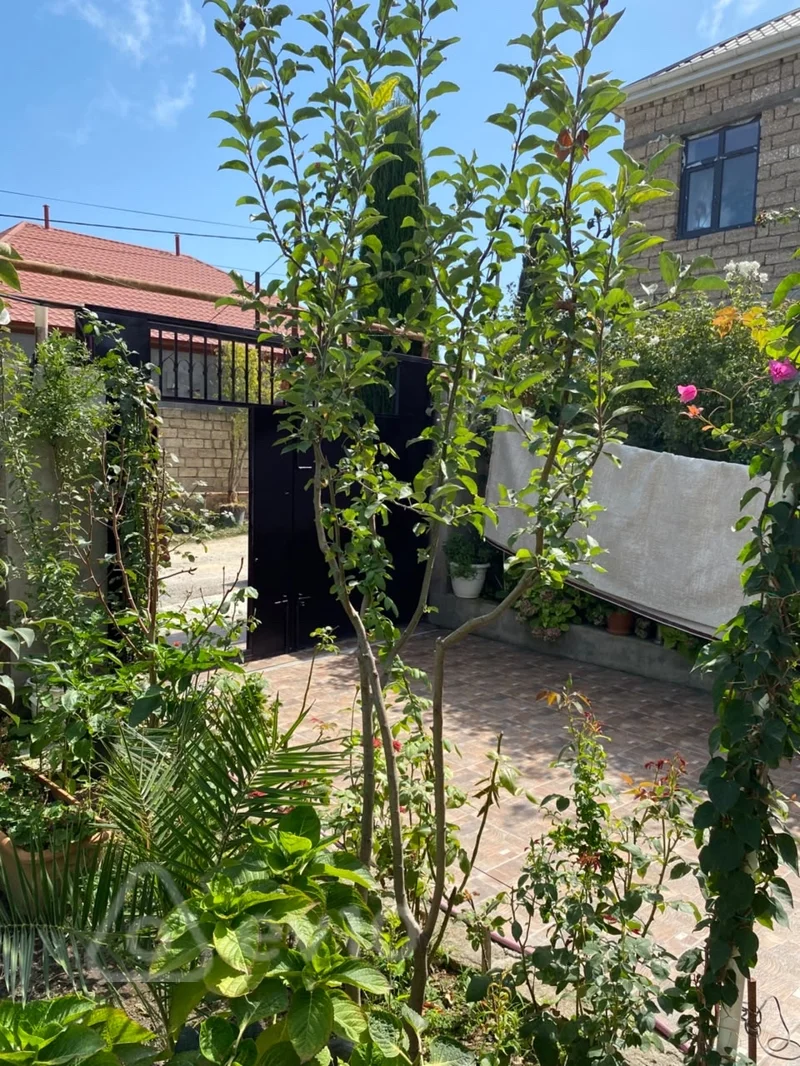 5 otaqlı həyət evi, 130 m², Buzovna — Ev, villa, Bakı (5)
