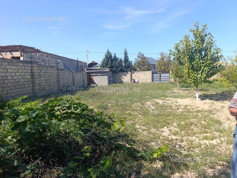 Satılır Torpaq sahəsi, 10 sot, Saray — Torpaq, Abşeron (5)
