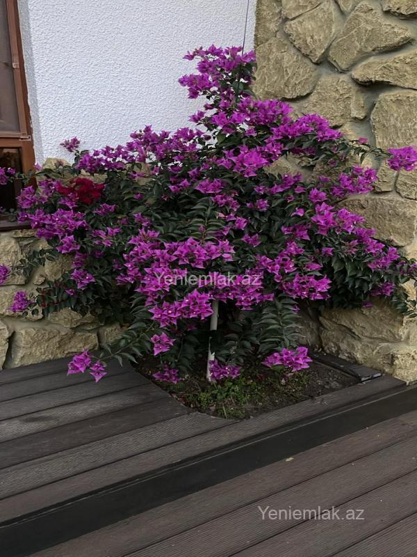 Satılır 5 otaqlı Bina evi menzil (Yeni tikili), 255 m², Xəzər rayonu — Mənzil, Bakı (8)