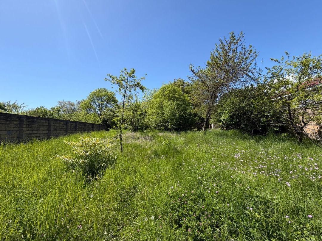 Satılır torpaq 14 sot — Torpaq, Qəbələ (2)