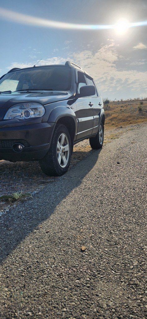 Chevrolet Niva, 1.7 L, 2013 il, 210 000 km 99-GJ-829 — Avtomobillər, Şəki (4)