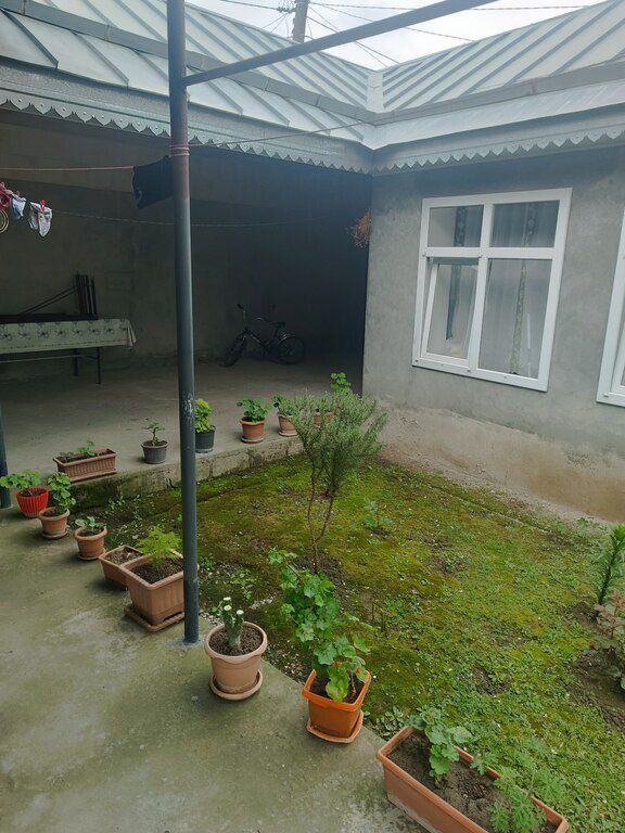 Həyət evi, Şəki ş — Ev, villa, Şəki (3)