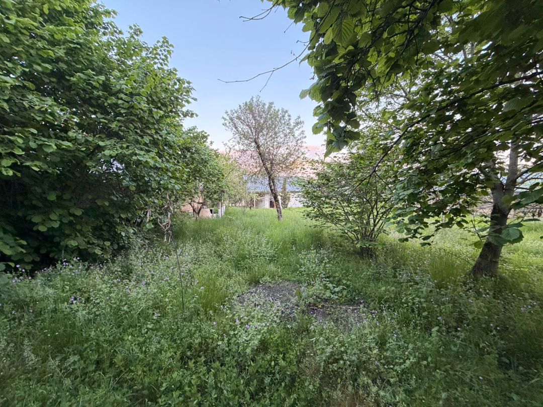 Satılır torpaq 14 sot — Torpaq, Qəbələ (4)