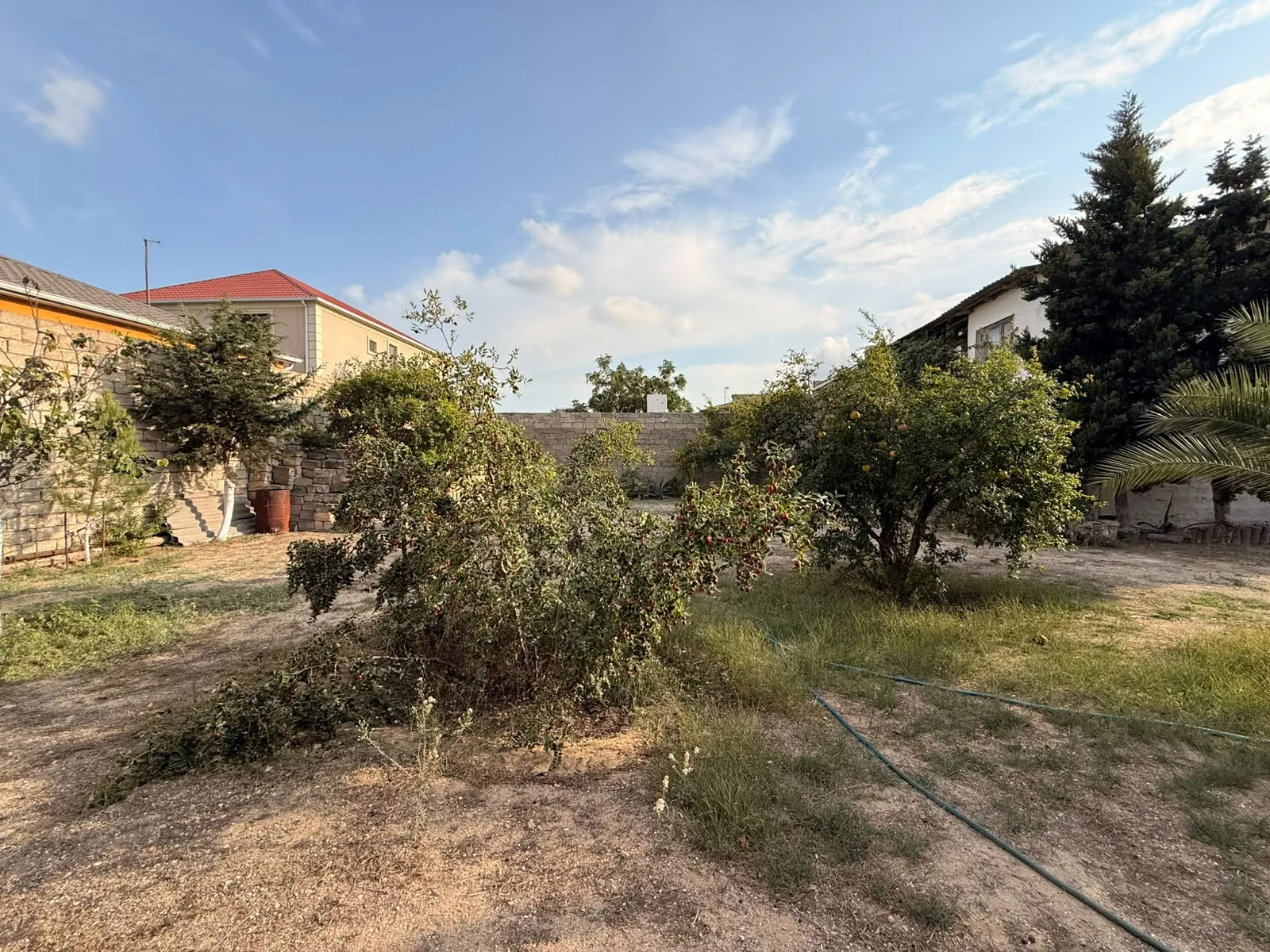 Şağan, Torpaq satılır - 6 sot — Torpaq, Bakı (4)