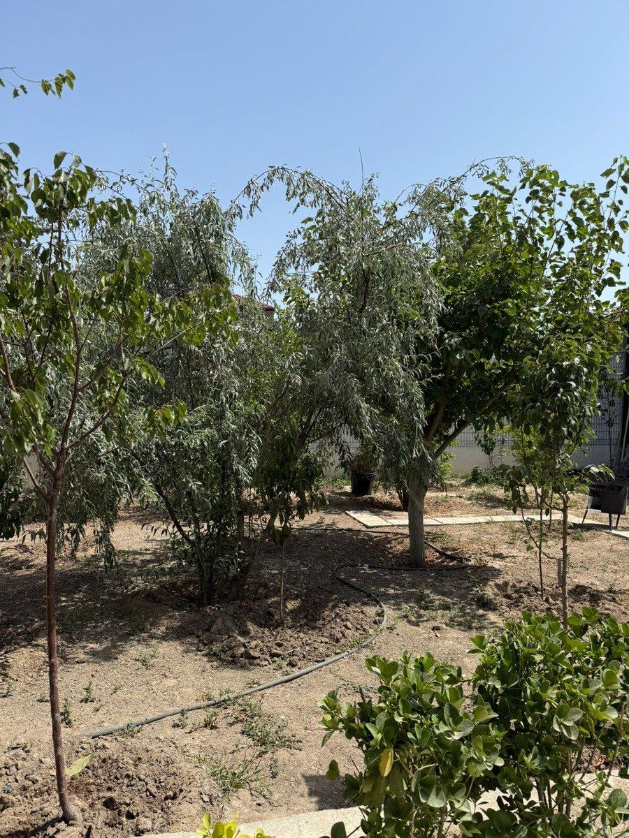 Satılır torpaq 17 sot — Torpaq, Bakı (2)