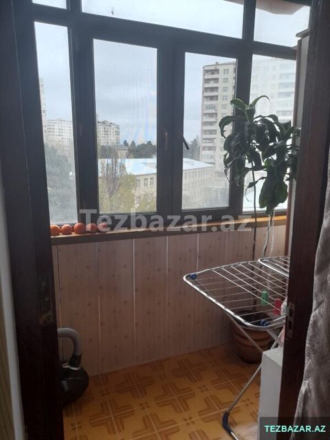 2nəfər xanım tələbə axtarılır — Bakı