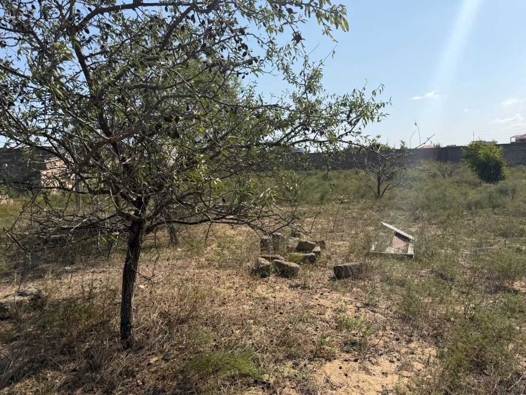 Satılır torpaq 53 sot — Torpaq, Bakı (7)