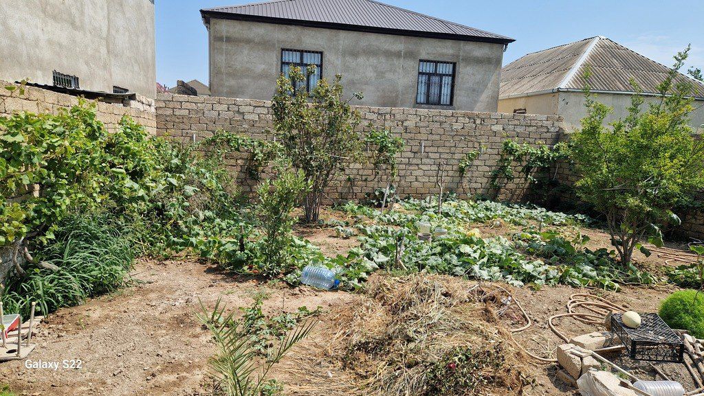 Satılır 3 otaqlı həyət evi/bağ evi 100 m² — Ev, villa, Bakı (5)