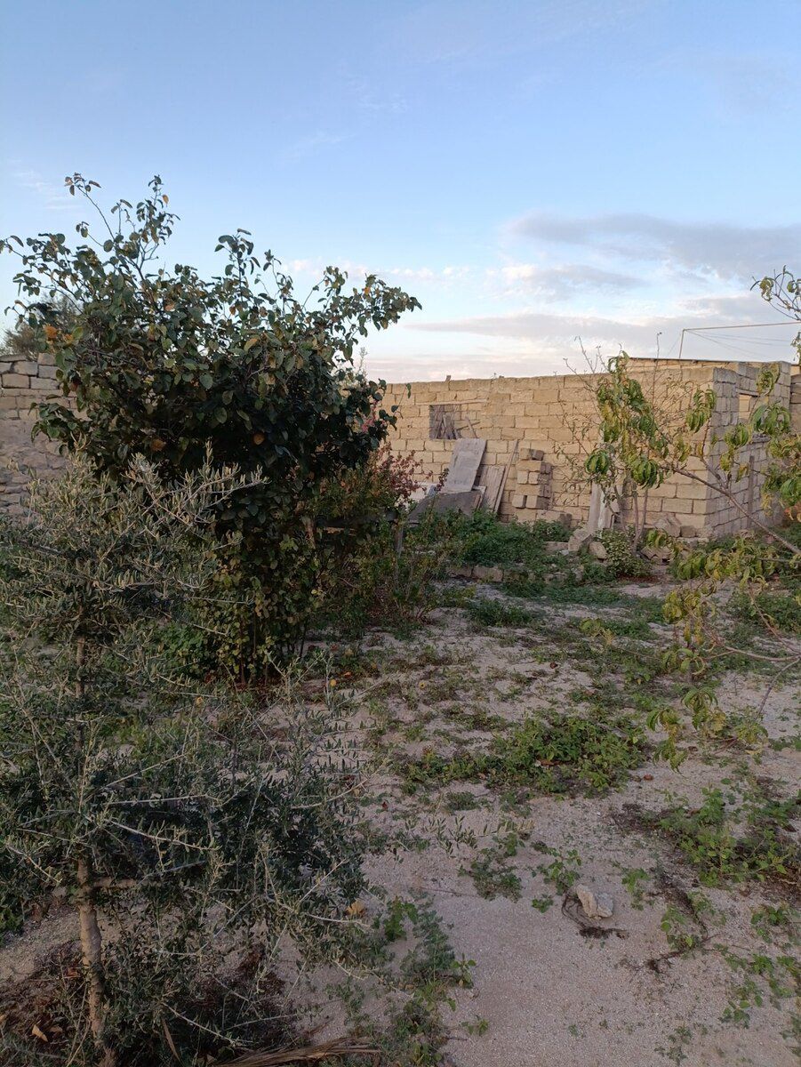 2.2 sot torpaq sahəsi, Maştağa qəs — Torpaq, Bakı (3)