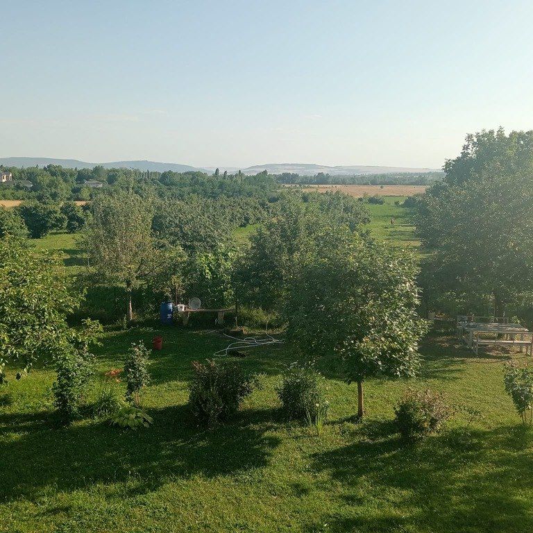 Satılır torpaq 100 sot — Torpaq, Qəbələ (2)