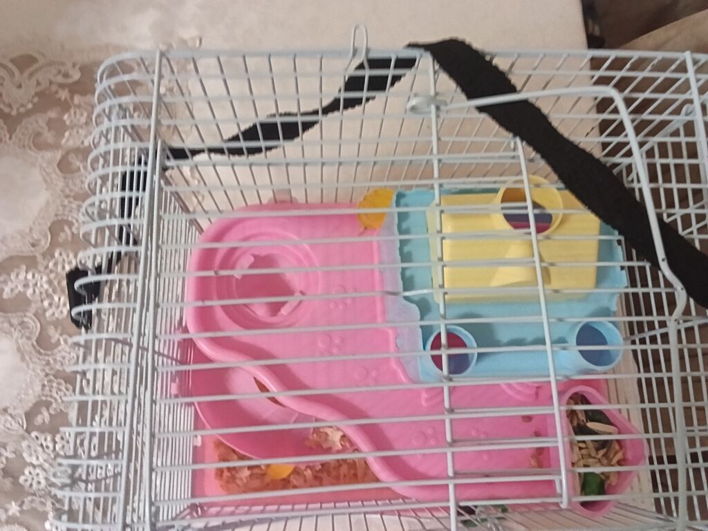 Siçan/hamster ile 2 mərtəbəli qəfəs dəsti 'qızdı hamilə yemək və — Qəfəslər, Xırdalan (4)