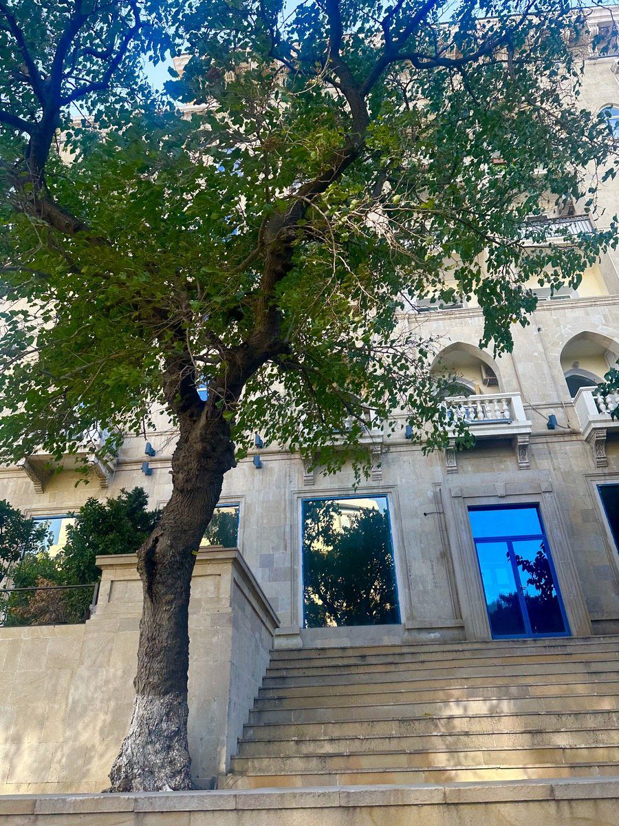 Satılır 1 otaqlı köhnə tikili 45 m² — Mənzil, Bakı (6)