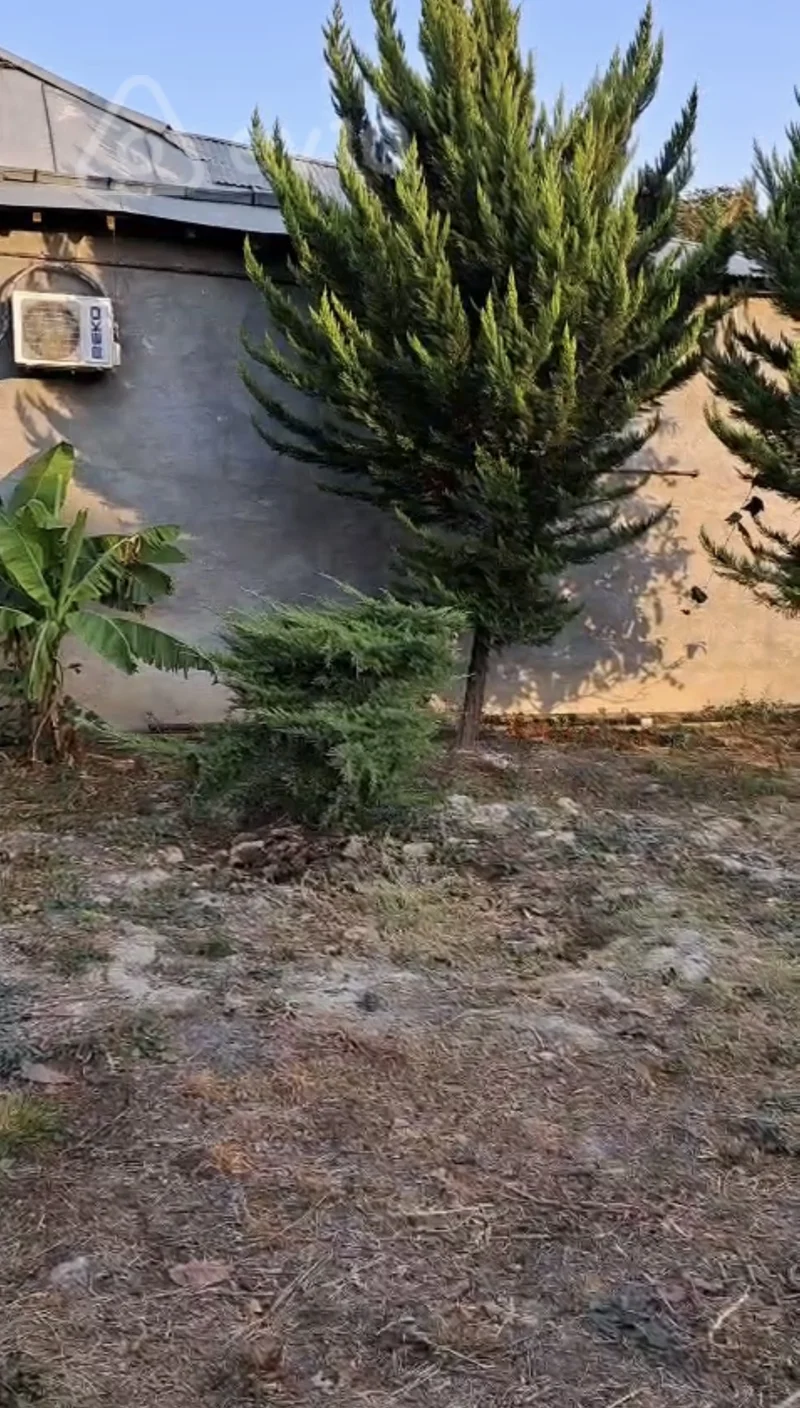 Torpaq sahəsi, 6 sot, Ünvan: Şəki şəhəri, Aşağı Xəstəxana ərazisi, Bonum Xəstəxanasının yaxınlığı, Asan Xidmətə yaxın ərazi, 99-cu kvartal — Torpaq, Şəki (7)