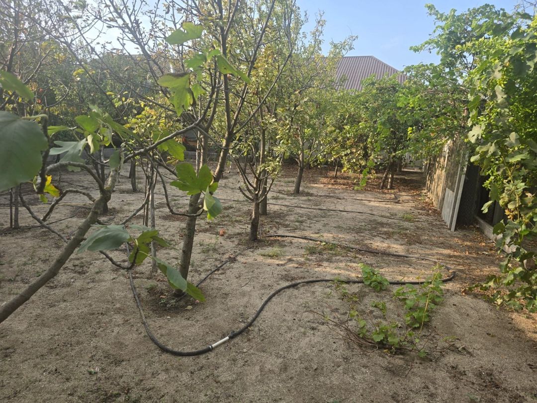 Satılır həyət evi/bağ evi 150 m² — Ev, villa, Bakı (12)
