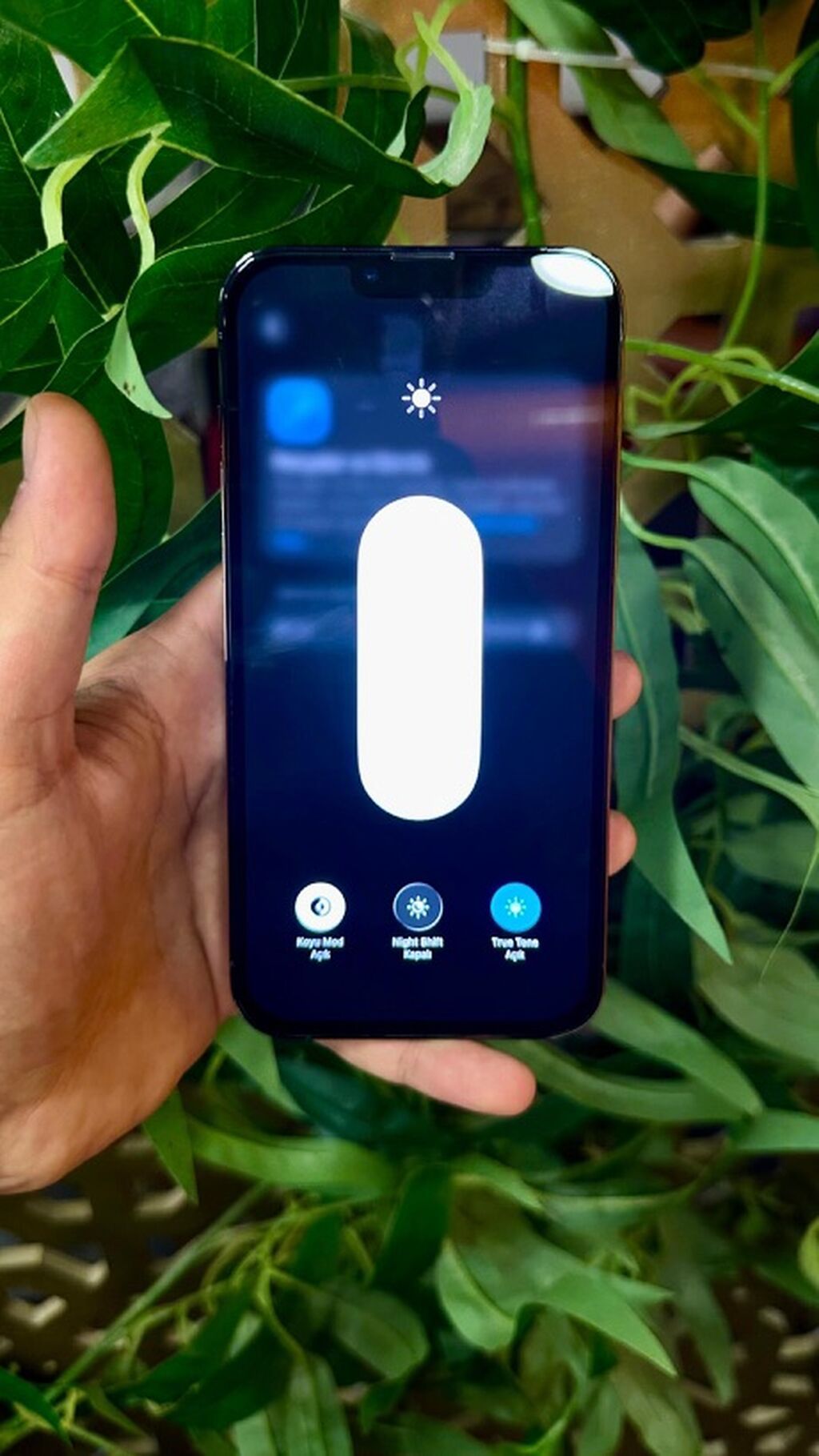 IPhone 13 Pro Max, 128 GB, Alpine Green, Simsiz şarj — Apple iPhone, Bakı (2)