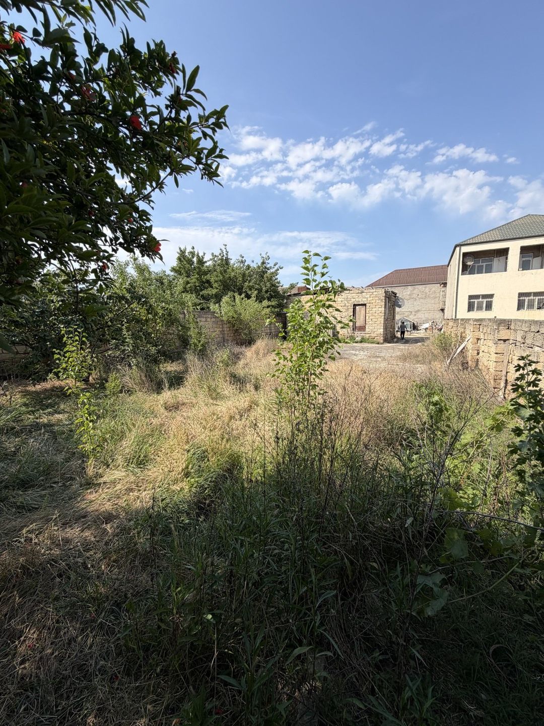 Satılır torpaq 7 sot — Torpaq, Bakı (4)