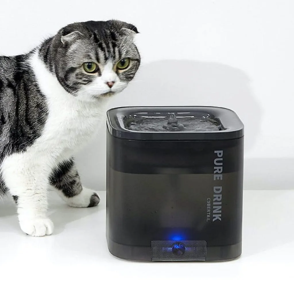 Petkit Eversweet Solo SE Dark — Mallar, Bakı (2)