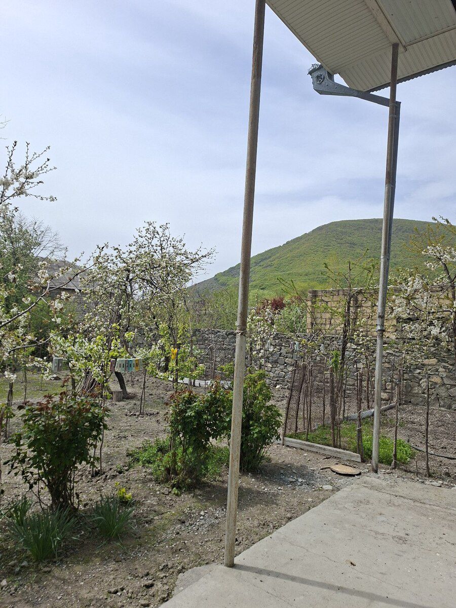 Həyət evi, Şəki r — Ev, villa, Şəki (4)