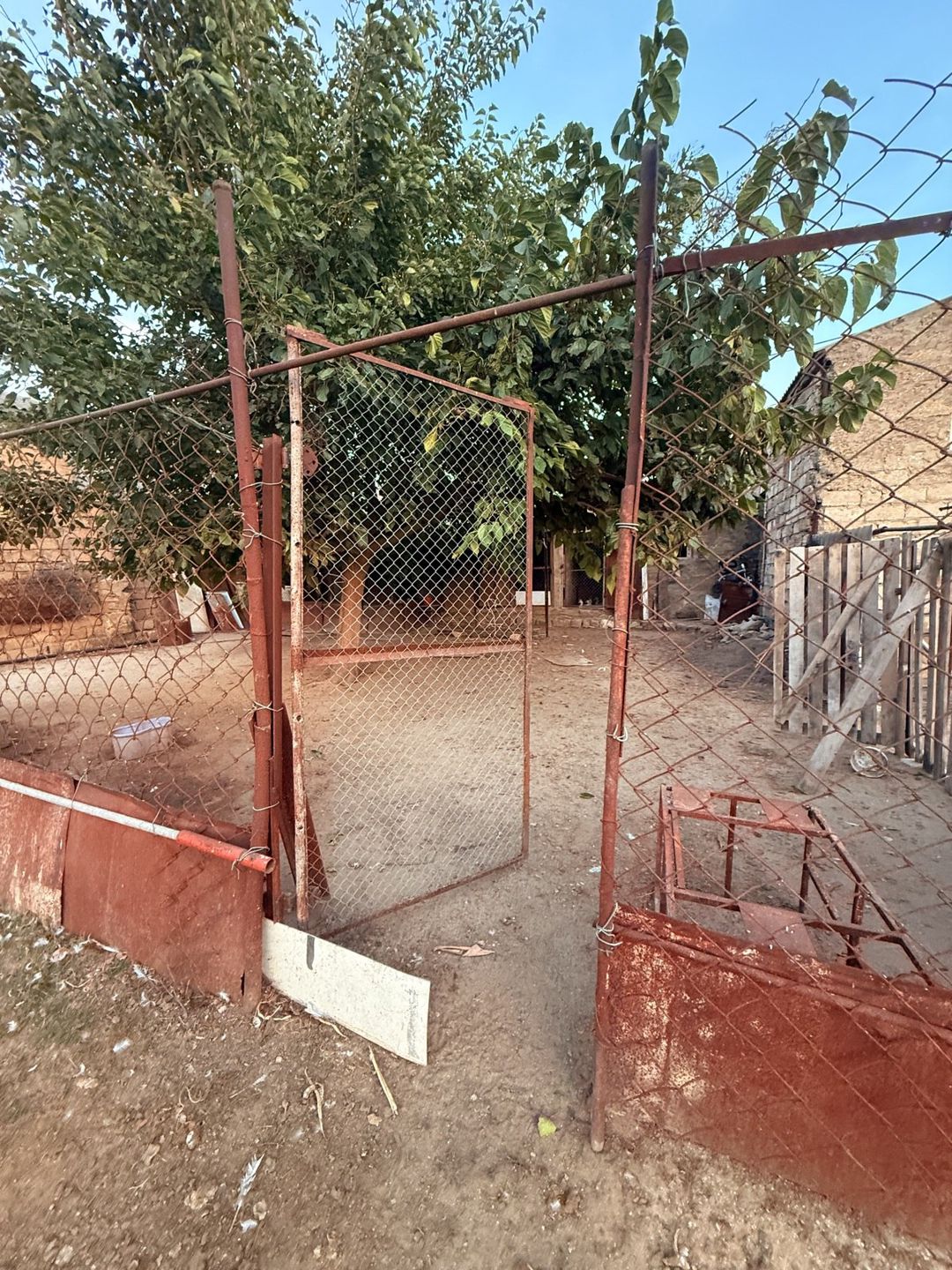 Satılır torpaq 6 sot — Torpaq, Bakı (5)