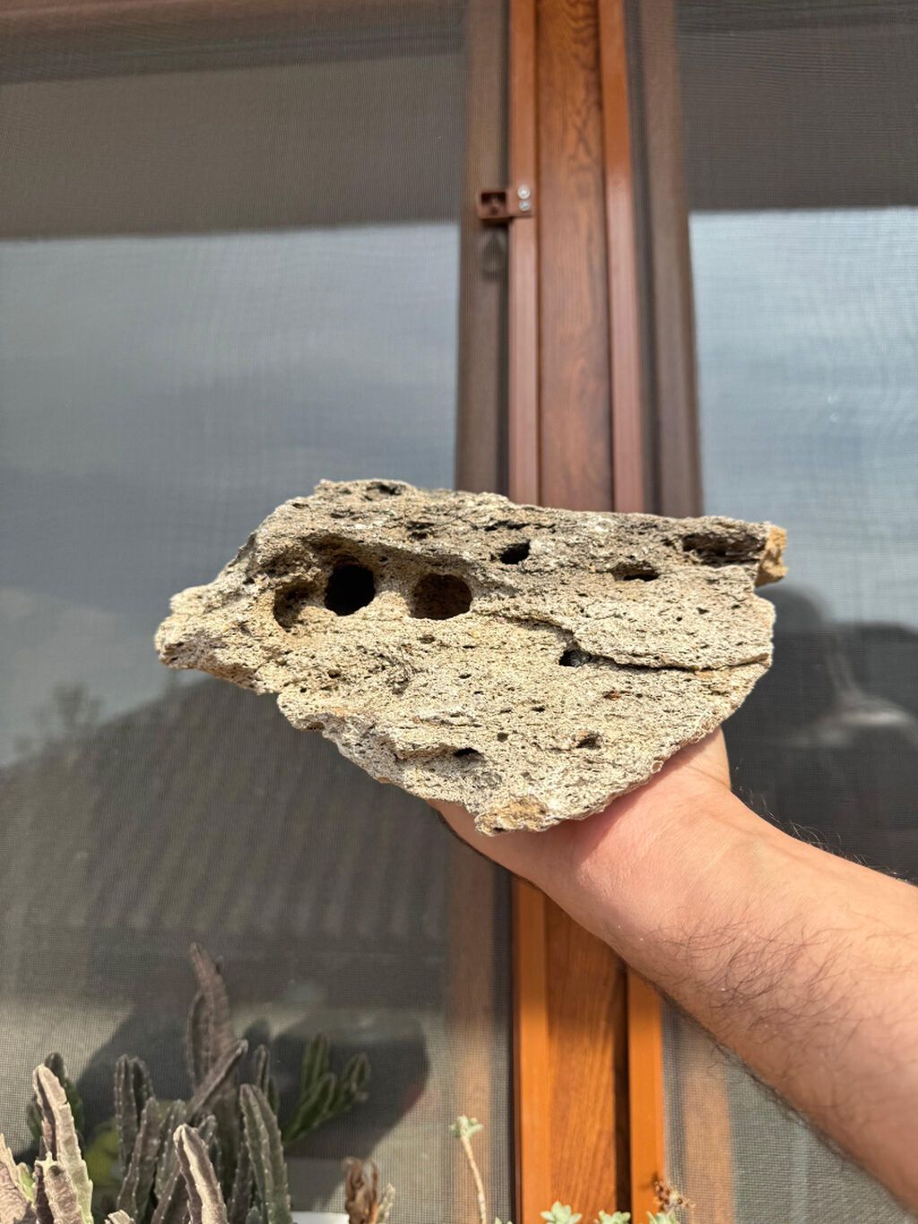 Akvarium daşları akanın içinənn çıxmadı toplam 18-19 klo bəzəkli — Akvariumlar və balıqlar, Bakı (4)