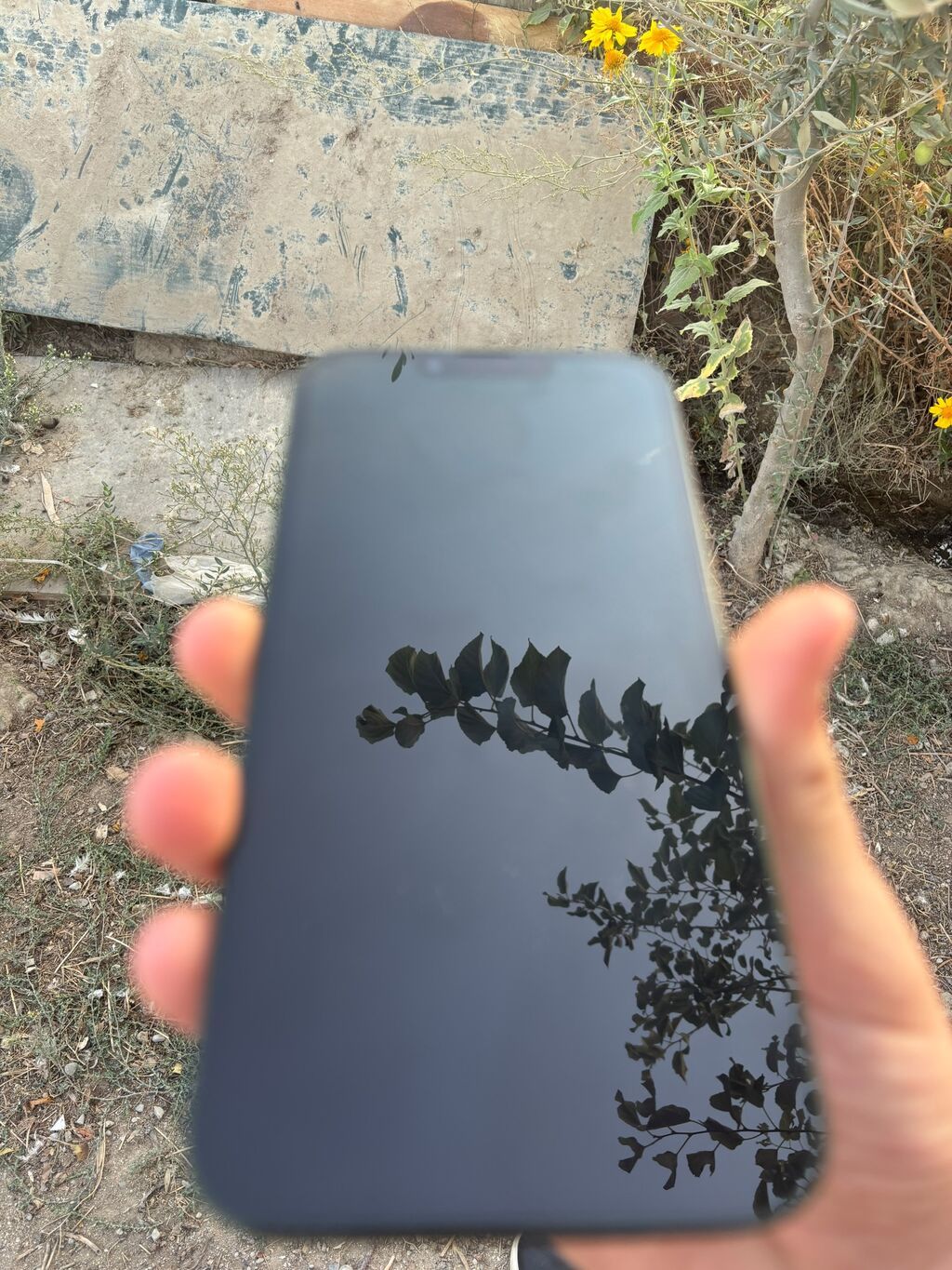IPhone 13, 128 GB, Yaşıl, Face ID — Apple iPhone, Bakı (3)