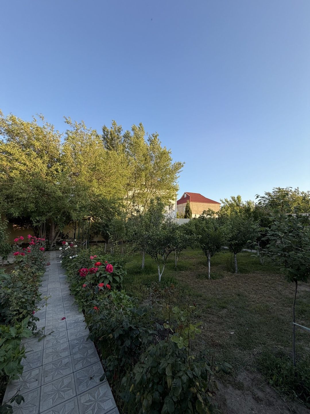 Satılır 5 otaqlı həyət evi/bağ evi 180 m² — Ev, villa, Bakı (2)