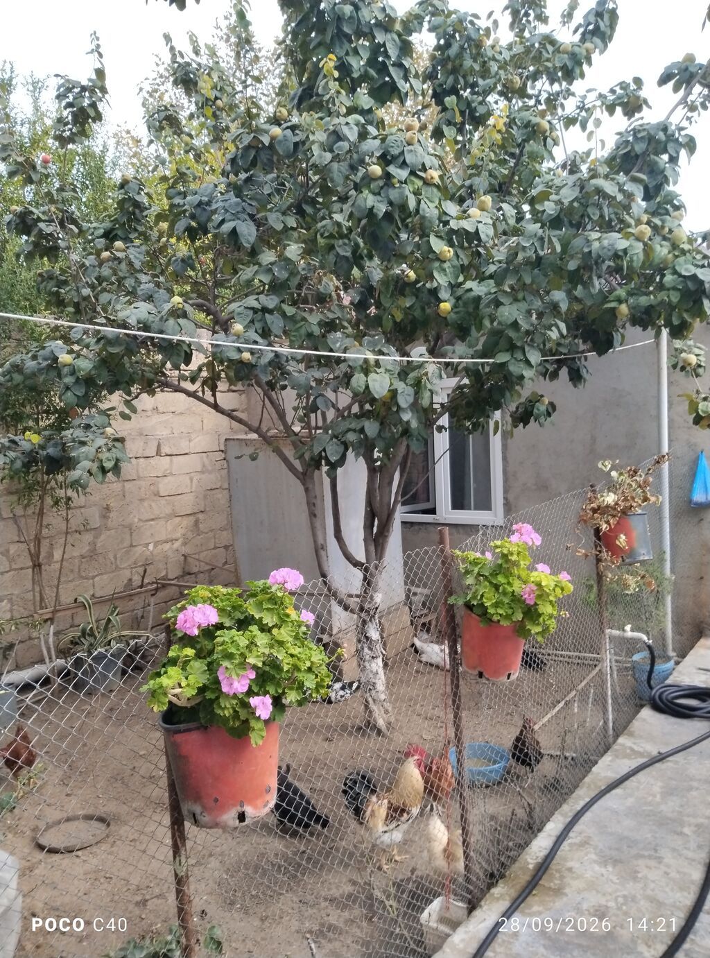 6 otaqlı, 6 kv. m, Orta təmir — Ev, villa, Digah (8)