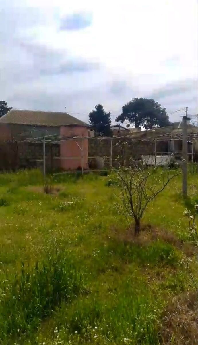 Satılır torpaq 14 sot — Torpaq, Bakı (5)