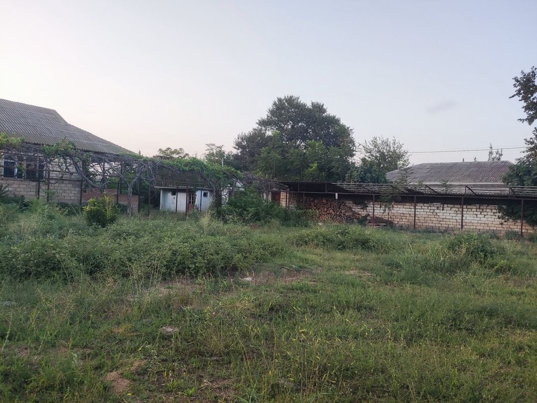 Satılır 4 otaqlı həyət evi/bağ evi 120 m² — Ev, villa, Beyləqan (3)