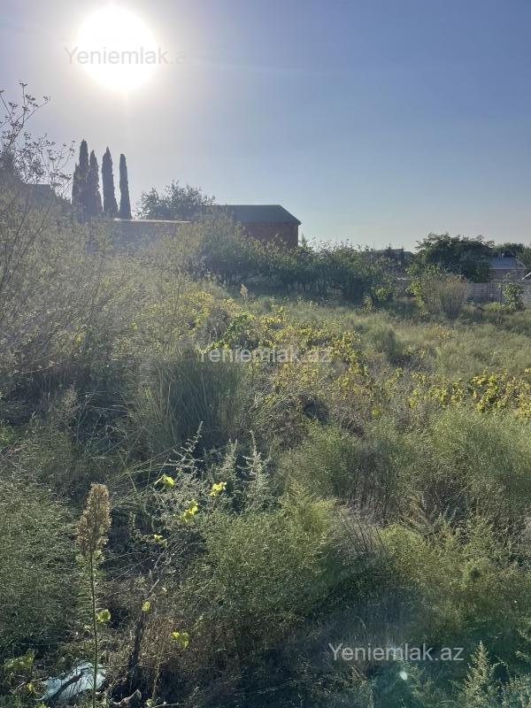Satılır Torpaq sahəsi, 28 sot, Qurd dərəsi — Torpaq, Sumqayıt (11)