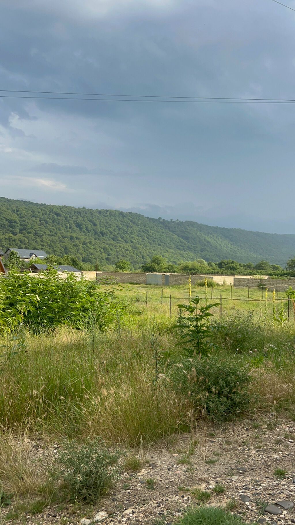 5 sot, Biznes üçün, Makler, Kupça (Çıxarış) — Torpaq, Qusar (10)