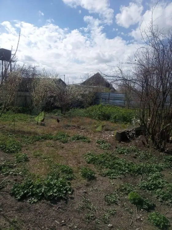 8 sot Torpaq Satılır, Ağdaş — Torpaq, Ağdaş (5)