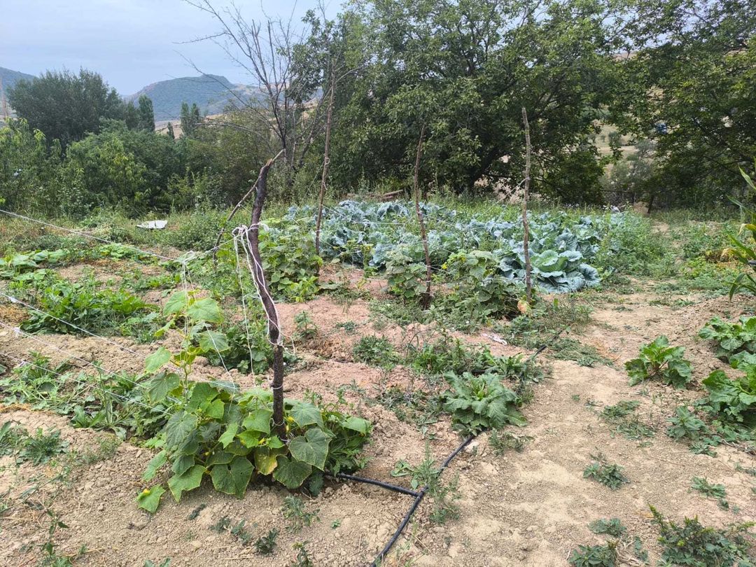 Satılır torpaq 10 sot — Torpaq, Şamaxı (11)