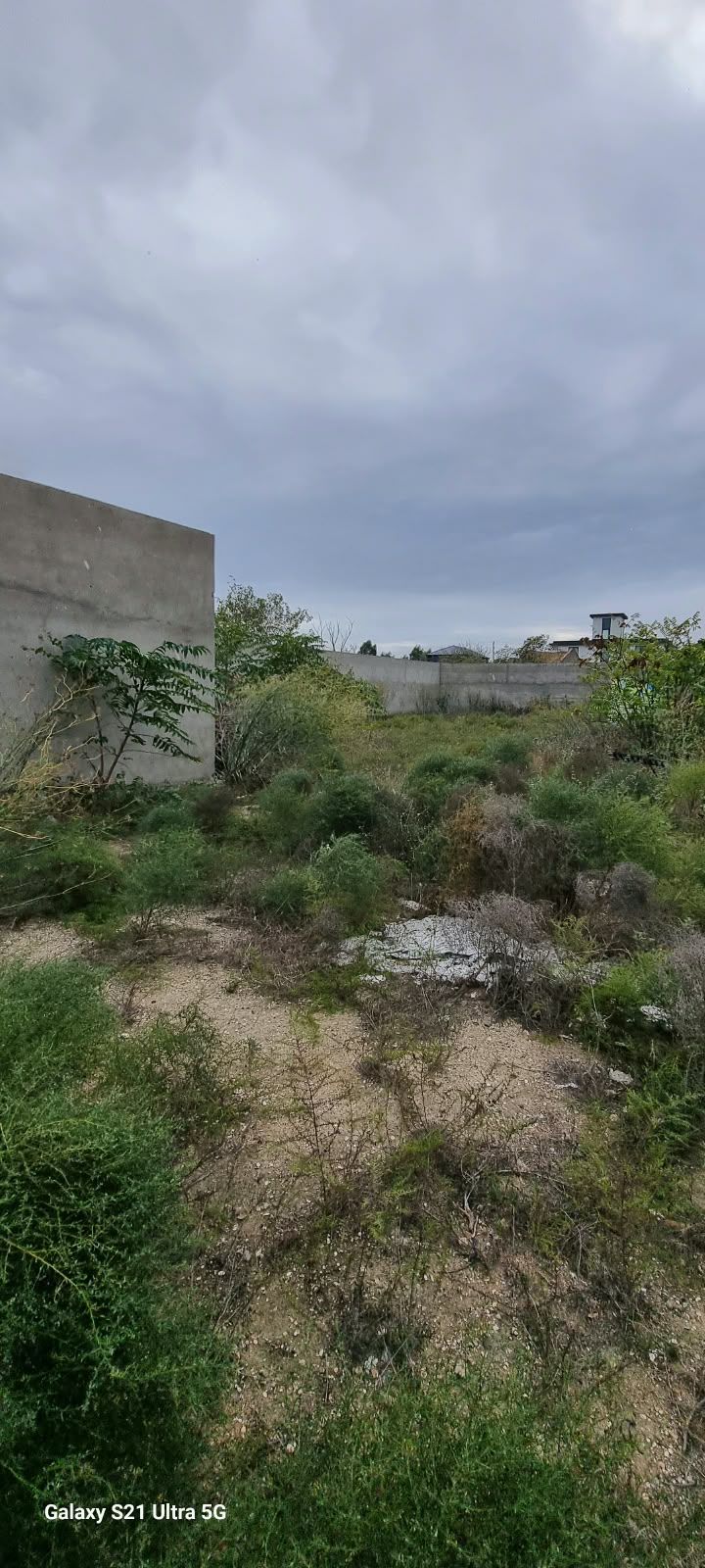 Satış: Torpaq, 24 sot, Xəzər rayonu — Torpaq, Bakı (4)