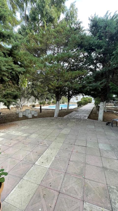 Satılır torpaq 22 sot — Bakı