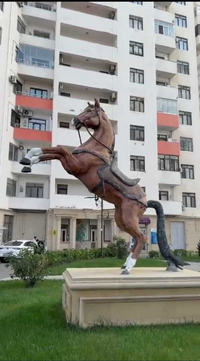 İcarəyə verilir 2 otaqlı yeni tikili 65 m² — Mənzil, Bakı (2)